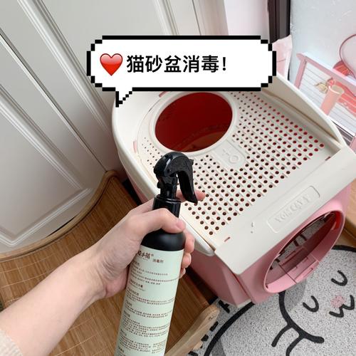 笔记详情